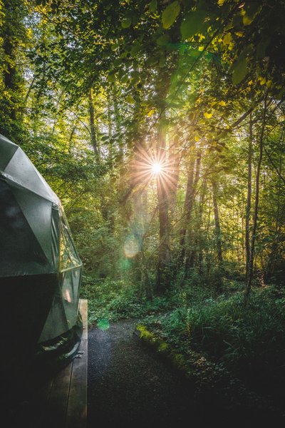 Domaine AbracadaRoom : Domaine Jean-Got - Image 5