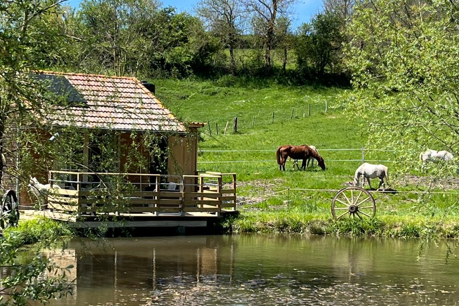 Cabane au bord de l'eau — photo 2
