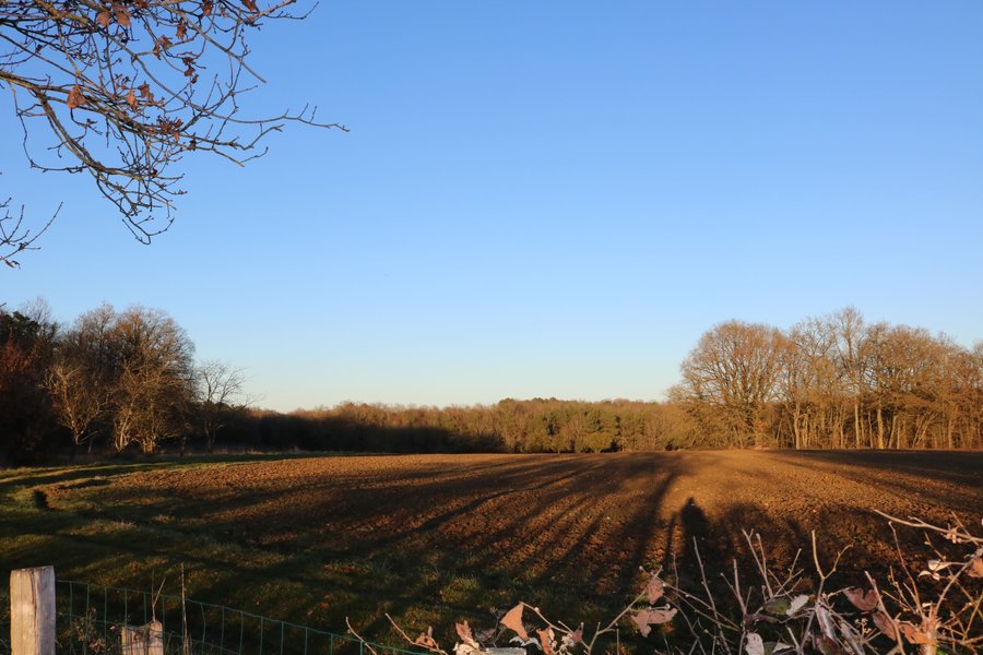 Domaine AbracadaRoom : Le Nid du Tui - Image 10