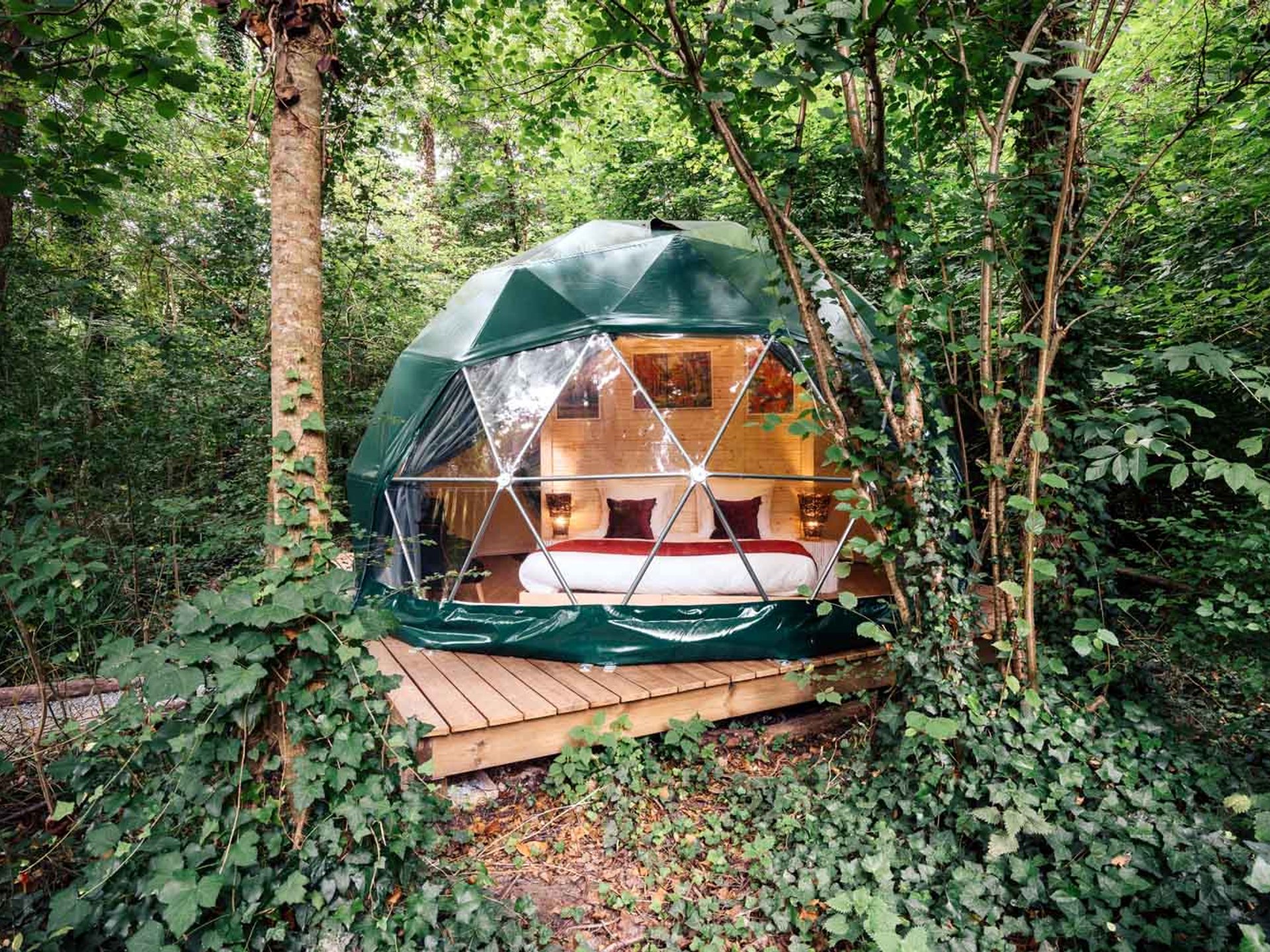 Géode Erable Pourpre : Dôme en Aquitaine (Nouvelle Aquitaine)