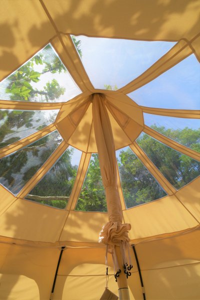 Hébergement AbracadaRoom : Châtaigne étoilée Familiale - Image 6