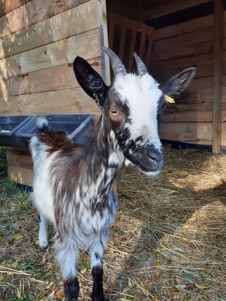 Domaine AbracadaRoom : A la douceur des chênes - Image 6
