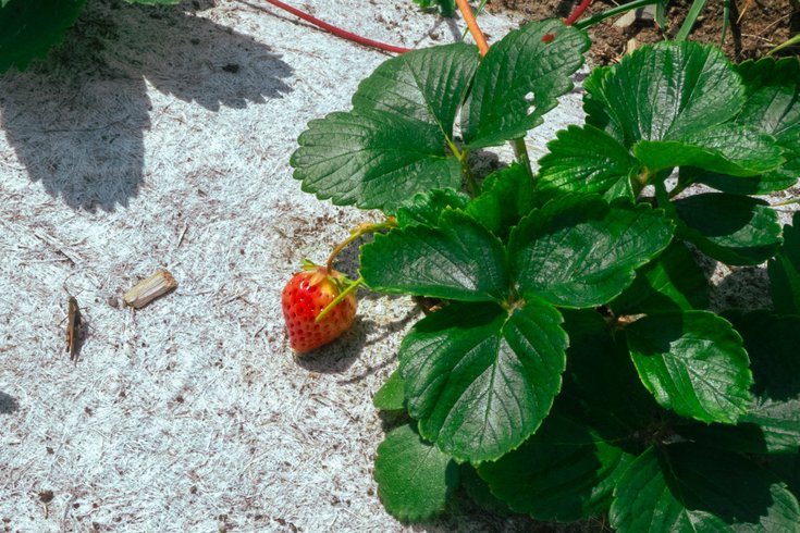 Domaine AbracadaRoom : Camping Écovillage Vacances Soleil du Pibeste - Image 44