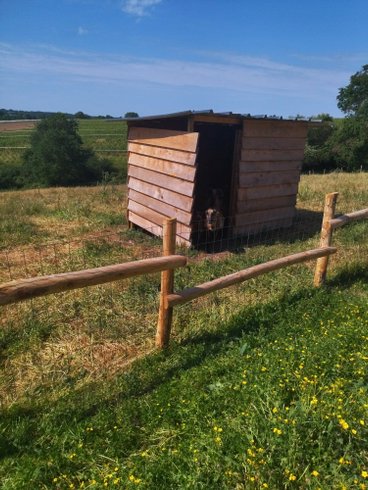 Hébergement AbracadaRoom : Cabane nordique - Image 7