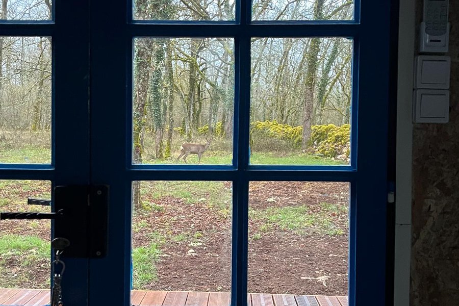 Le Refuge Des Bois de Morphée — photo 2