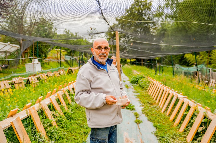 Domaine AbracadaRoom : Homnest (Uzemain) - Image 5