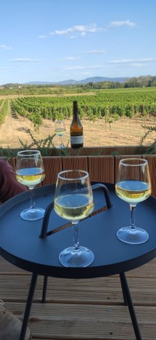 Domaine AbracadaRoom : Lodges In Move - Domaine de Brau - Image 5