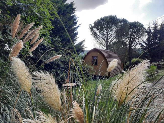 Hébergement AbracadaRoom : Mégapod la Bergerie Insolite - Image 3