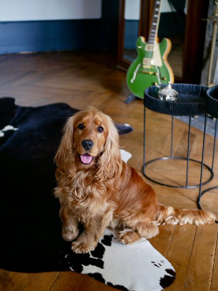 Domaine AbracadaRoom : Domaine ForRest - Image 8