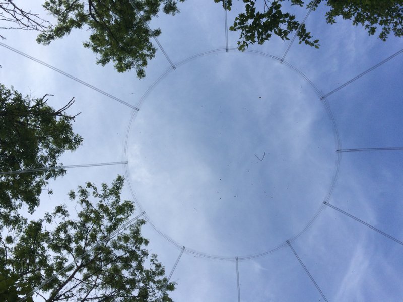 Hébergement AbracadaRoom : La Bulle - Image 9