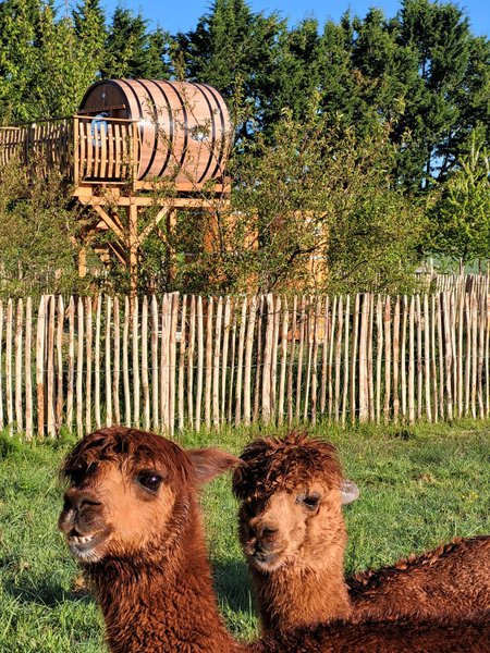 Hébergement AbracadaRoom : Coup de foudre en Anjou & Spa - Image 8