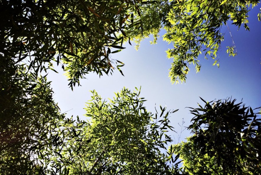 Domaine AbracadaRoom : Maison Blanche ETXE XURIA Côte Basque - Image 4