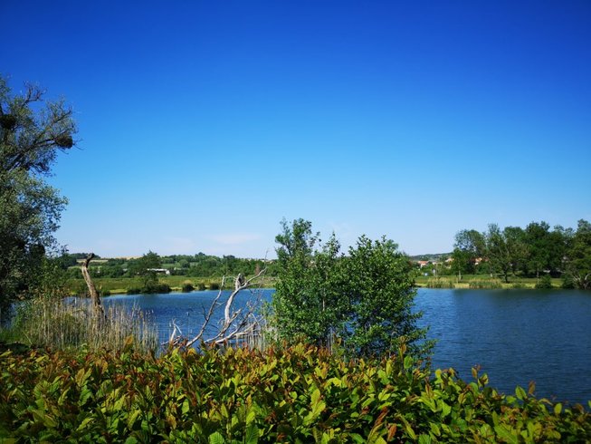 Hébergement AbracadaRoom : La tiny Etat Nature - Image 9