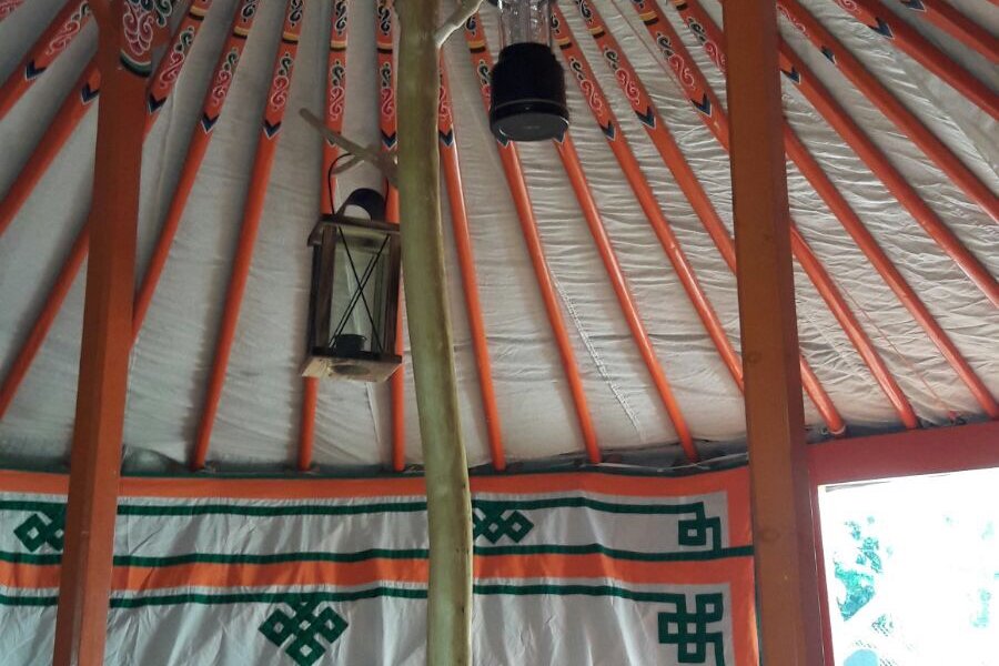 Yourte Altaï Séjour authentique auprès de huskies — photo 2