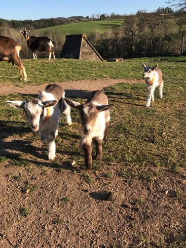 Domaine AbracadaRoom : Centre Equestre de la Vallée - Image 9