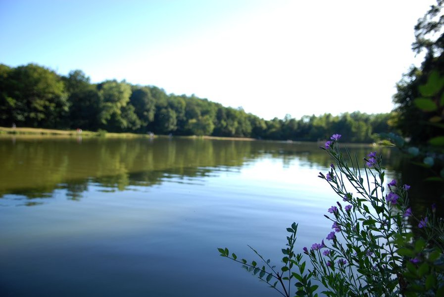 Domaine AbracadaRoom : Le Parc de Fierbois - Image 3
