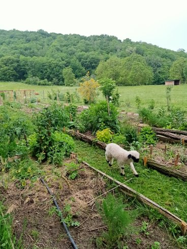 Domaine AbracadaRoom : Centre Agro Environnemental de Brassacou - Image 18