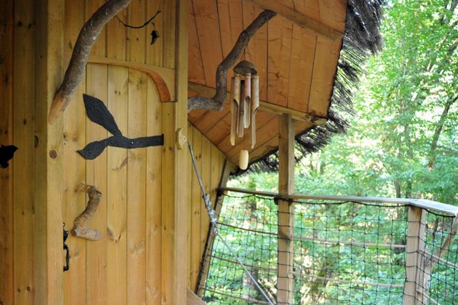 Cabane de la Canopée — photo 2