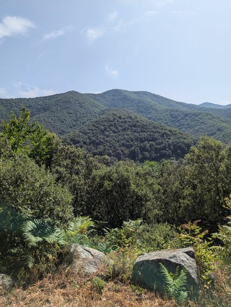 Hébergement AbracadaRoom : Roulotte de Lascoutch - Image 19