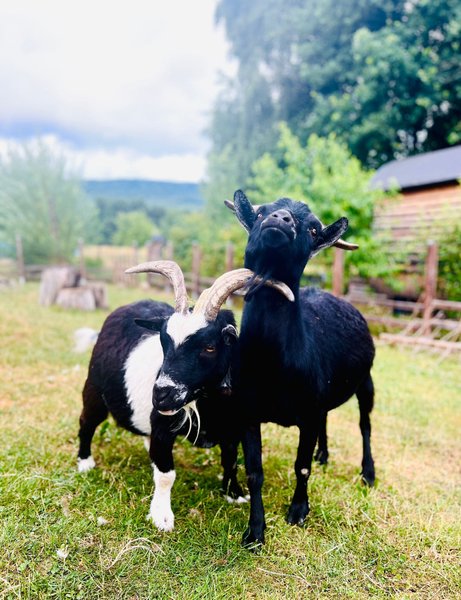 Domaine AbracadaRoom : Le Mond'Idéal - Image 2