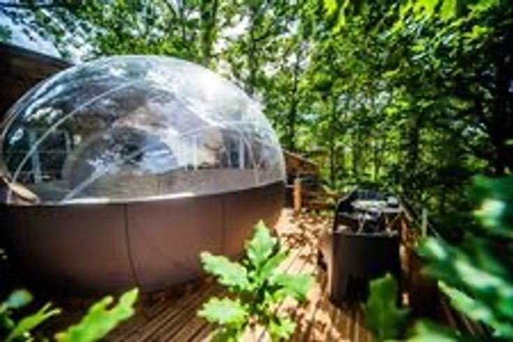 Hébergement AbracadaRoom : La Canopée - Image 2