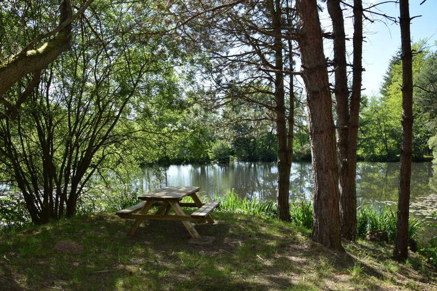 Hébergement AbracadaRoom : Champêtre - Image 12