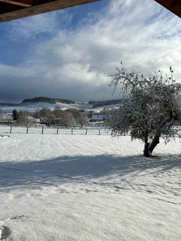 Hébergement AbracadaRoom : Nuit's Féerique en Champagne & Spa - Image 29