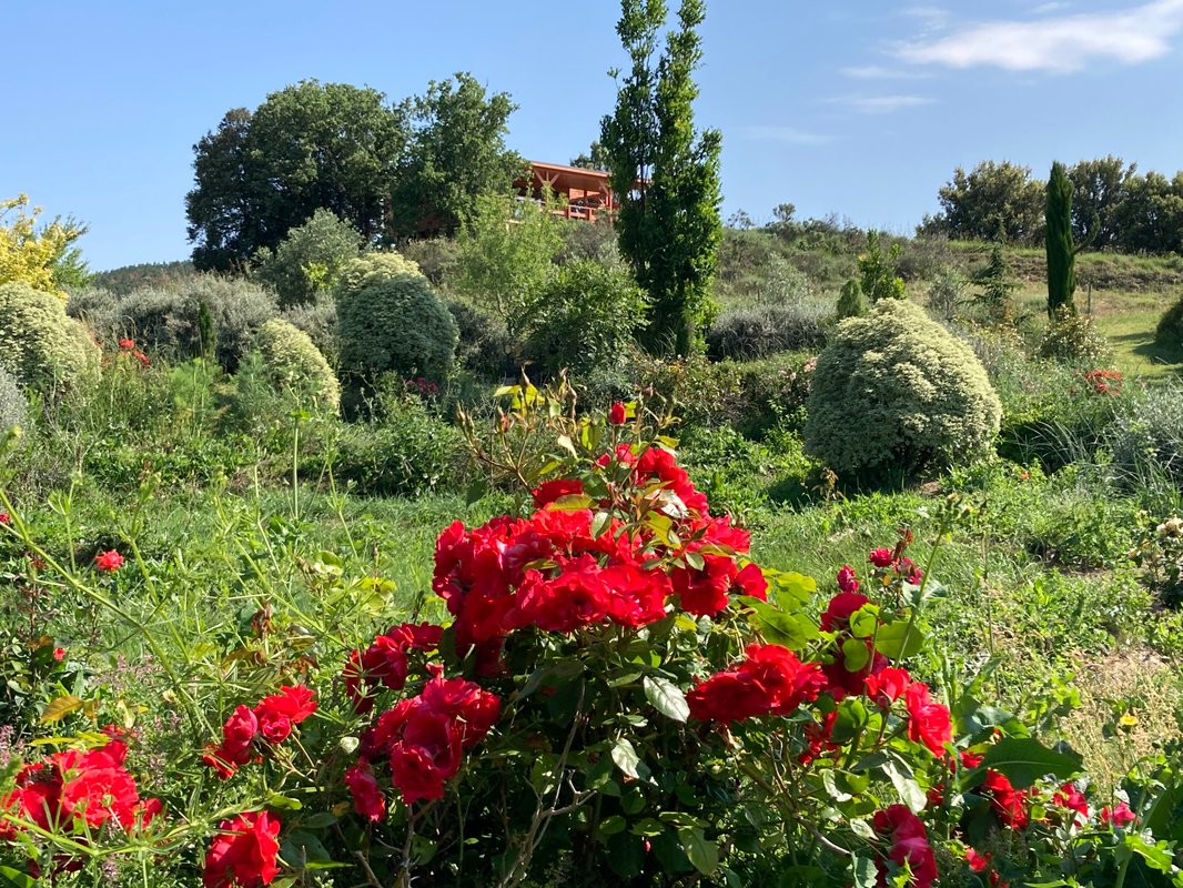 La Cabane perchée "A perte de vue" à Villarzel Du Razès (37)