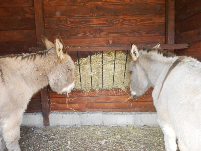 Domaine AbracadaRoom : Domaine des Calosses - Image 12