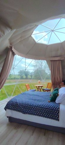 Domaine AbracadaRoom : Berry Dome - Image 8