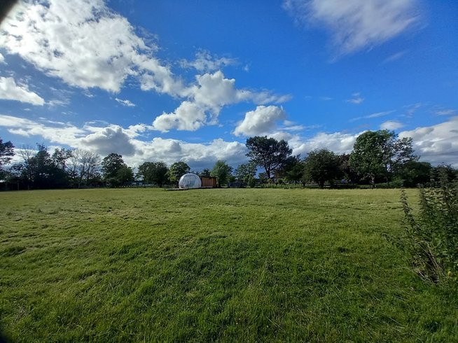 Hébergement AbracadaRoom : La Bulle des Alpagas - Image 5