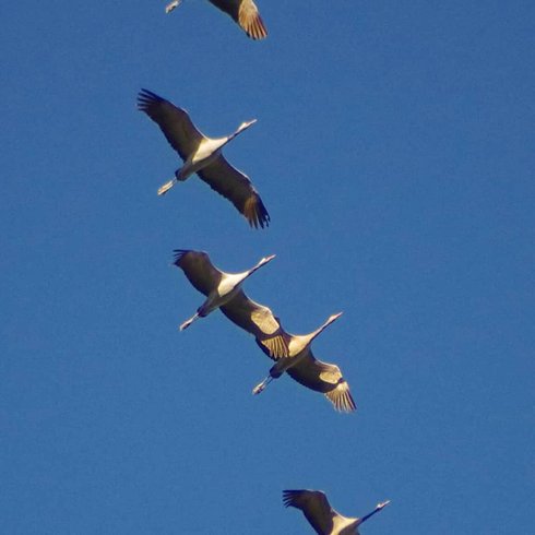 Domaine AbracadaRoom : Glamping La Fraventure - Image 37