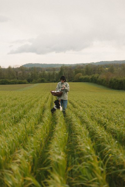 Domaine AbracadaRoom : Parcel Tiny House - dans un verger en Lorraine - Image 8