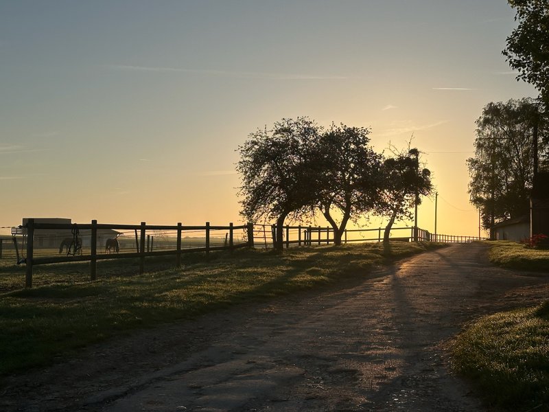 Hébergement AbracadaRoom : La Stabu des prés Hauts & Spa - Image 18