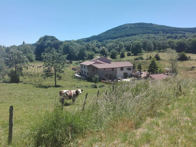 Domaine AbracadaRoom : Le Moulin de la Fortie - Image 2