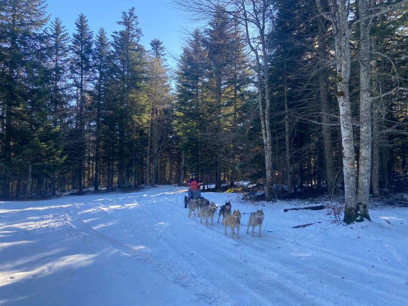 Domaine AbracadaRoom : Esprit du Nord - Image 37