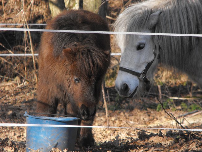 Domaine AbracadaRoom : La Ferme de l'Argenté - Image 6