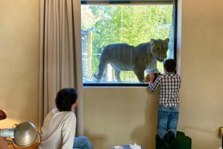 Chambre à thème Gironde