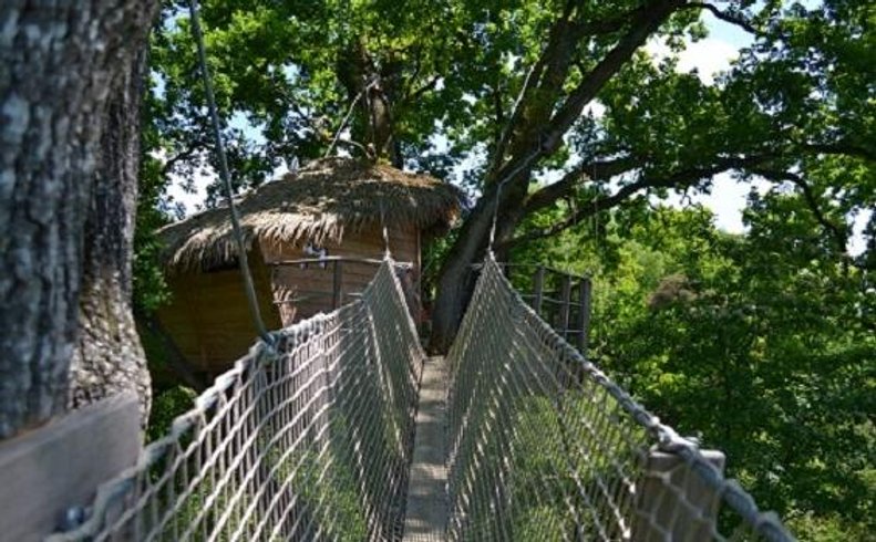 Hébergement AbracadaRoom : Cabane Guadeloupe - Image 5