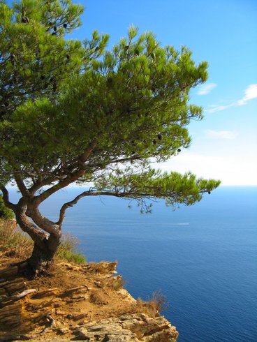 Domaine AbracadaRoom : Étoiles de Provence - Image 13