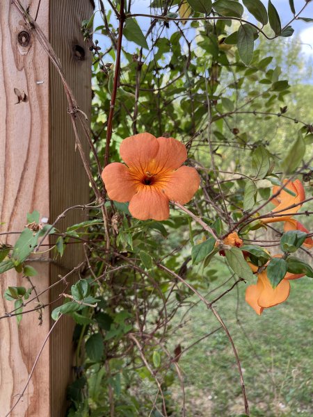 Domaine AbracadaRoom : Ô Saveur de l'instant - Image 8