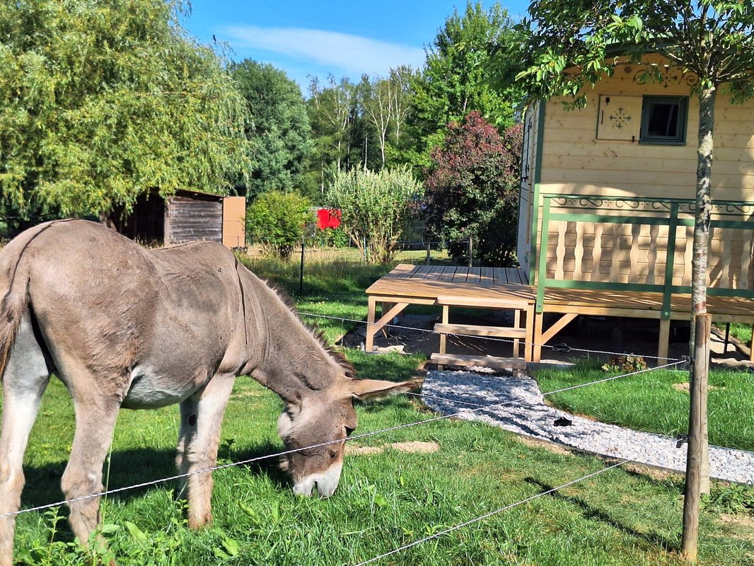 Roulotte & Respire à Foussemagne (20)