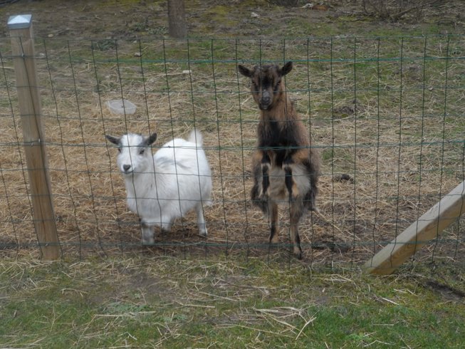 Domaine AbracadaRoom : Domaine d'I.S.A. - Image 5