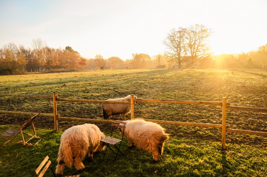 Hébergement AbracadaRoom : Homnest - Prairie des Âmes Heureuses - Occitanie - Image 32