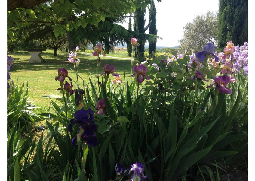 Domaine AbracadaRoom : LA ROULOTTE CHIC ET BOHEME - Image 14