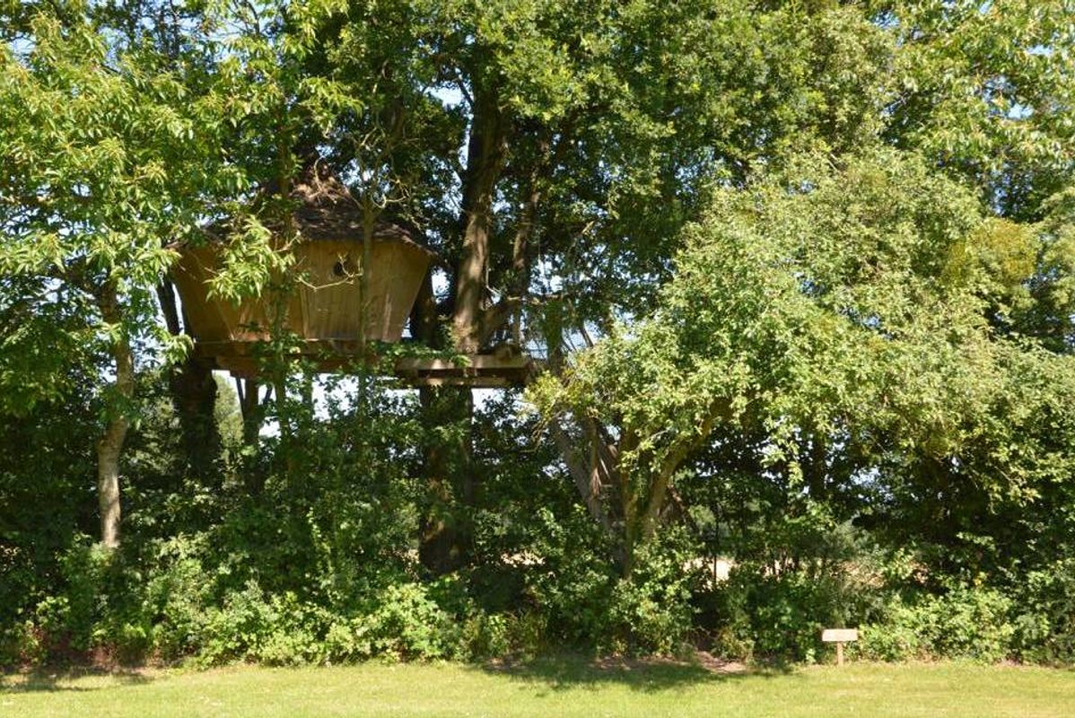 Cabane Des Cartes à La Baconnière (4)