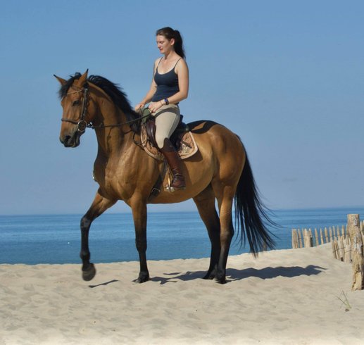 Domaine AbracadaRoom : Écurie Leseigneur - Image 14