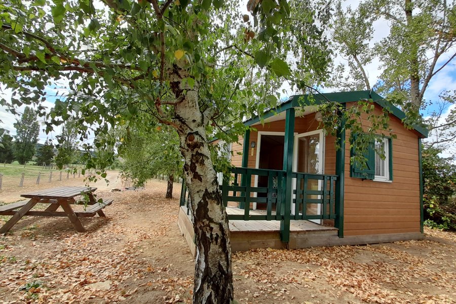 Chalet  Nature & Bois avec vue sur la campagne — photo 2