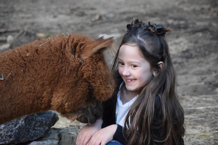 Domaine AbracadaRoom : Ferme Jean des Houx - Image 2