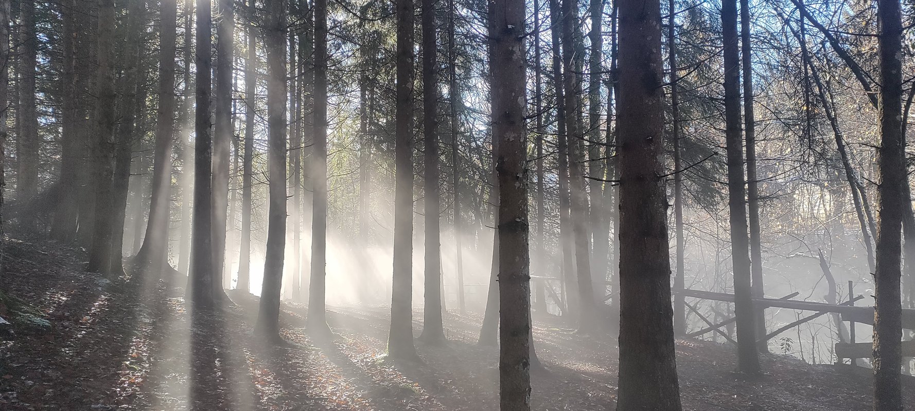 La Cabane de Trappeur à Saint Martin En Vercors (17)